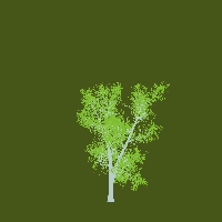 greenshift tree