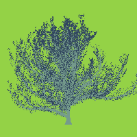 greenshift tree