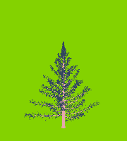 greenshift tree