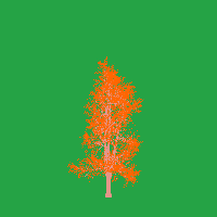 greenshift tree