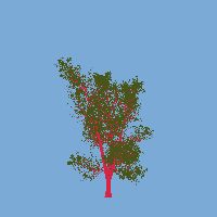greenshift tree