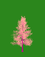 greenshift tree