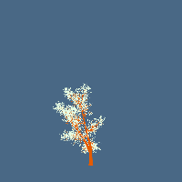 greenshift tree