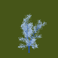 greenshift tree