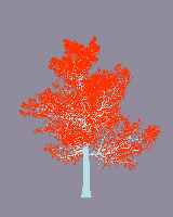 greenshift tree