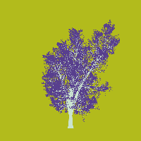 greenshift tree