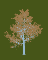 greenshift tree