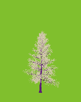 greenshift tree
