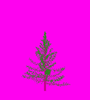 greenshift tree