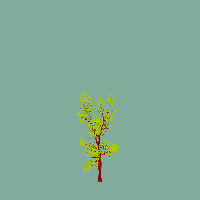 greenshift tree