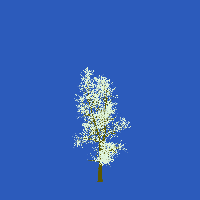 greenshift tree