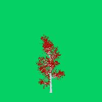 greenshift tree