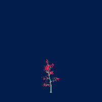 greenshift tree