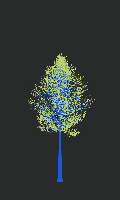 greenshift tree