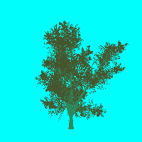 greenshift tree