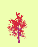 greenshift tree