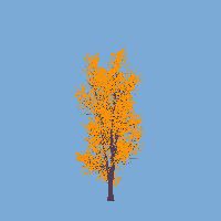 greenshift tree