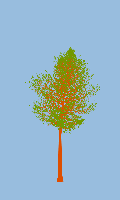 greenshift tree