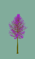 greenshift tree