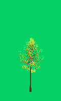 greenshift tree