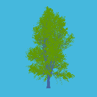 greenshift tree
