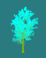 greenshift tree