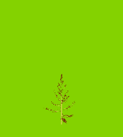 greenshift tree