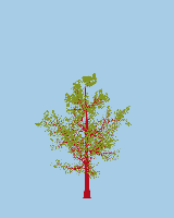 greenshift tree