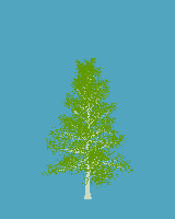 greenshift tree