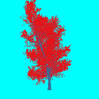 greenshift tree
