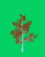 greenshift tree
