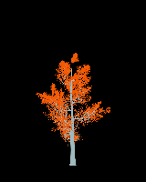 greenshift tree