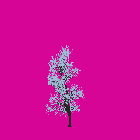 greenshift tree