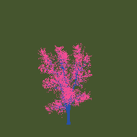 greenshift tree