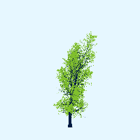 greenshift tree