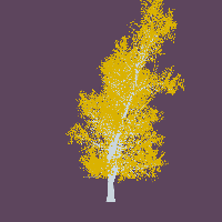 greenshift tree