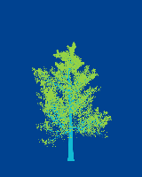 greenshift tree