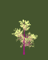 greenshift tree