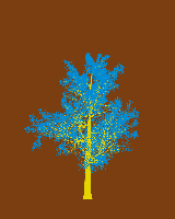 greenshift tree