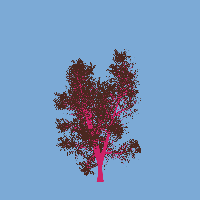 greenshift tree