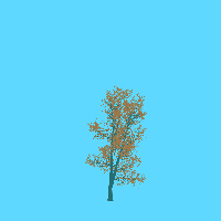 greenshift tree