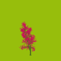 greenshift tree