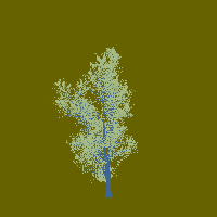 greenshift tree