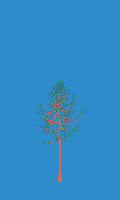 greenshift tree