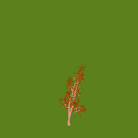 greenshift tree