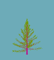 greenshift tree