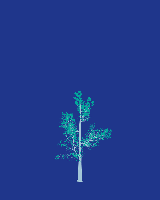 greenshift tree
