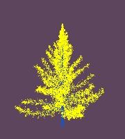 greenshift tree