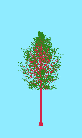 greenshift tree