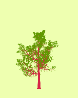 greenshift tree